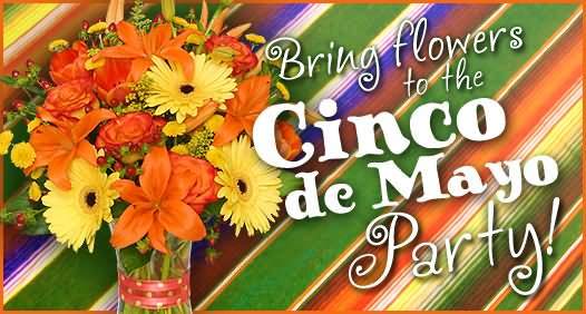 What To Bring To A Cinco De Mayo Party
 40 Cinco de Mayo 2016 Greeting And