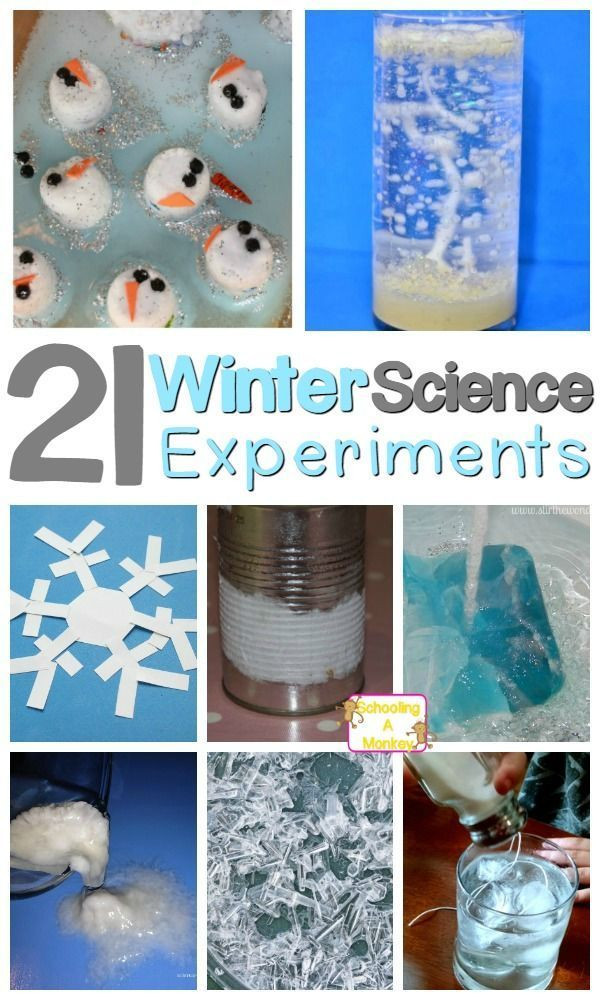 Winter Fun Ideas
 Winter Science Experiments You Can Do Without Snow