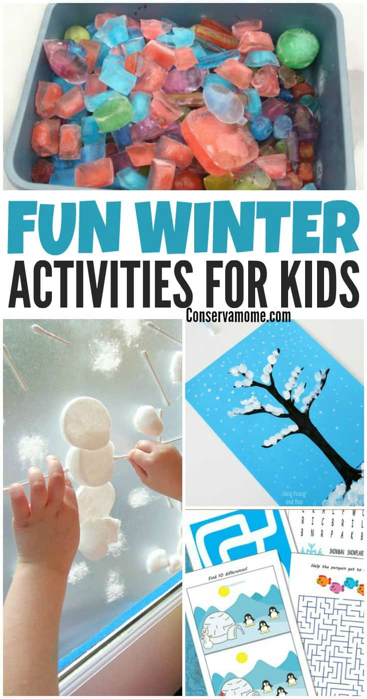 Winter Fun Ideas
 Fun Winter Activities for Kids ConservaMom