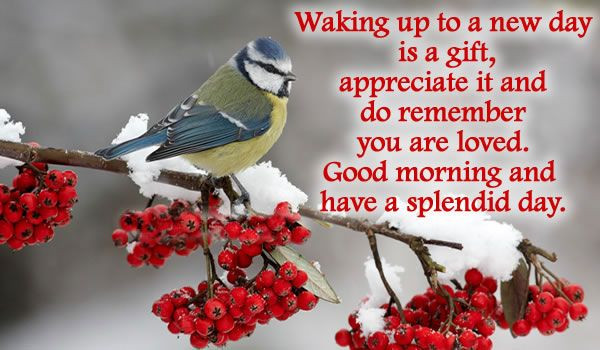 Winter Good Morning Quotes
 Good Morning Winter Quotes QuotesGram