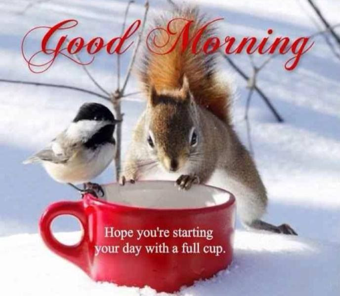 Winter Good Morning Quotes
 Good Morning Winter Quotes QuotesGram
