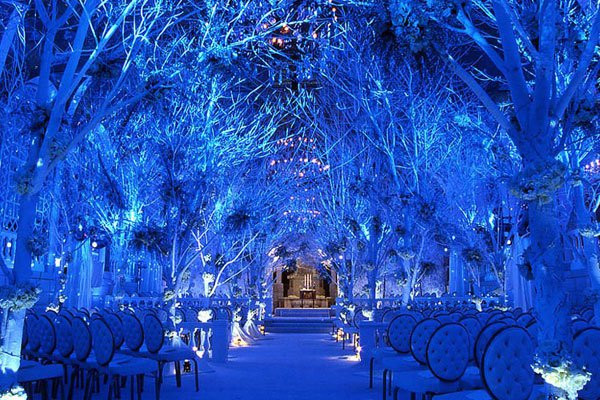 Winter Wonderland Wedding Ideas
 There nothing more magical than a Christmas Wedding – An