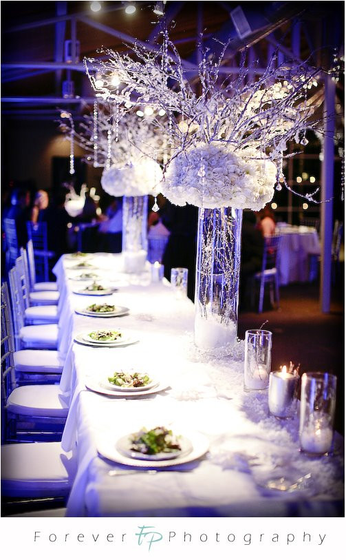 Winter Wonderland Wedding Ideas
 weddings in Greece Christmas Wedding Theme White & Silver