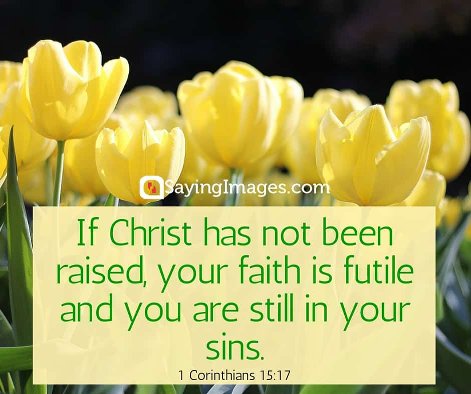 Bible Quotes About Easter
 22 Easter Bible Verses For a Sunday of Redemption