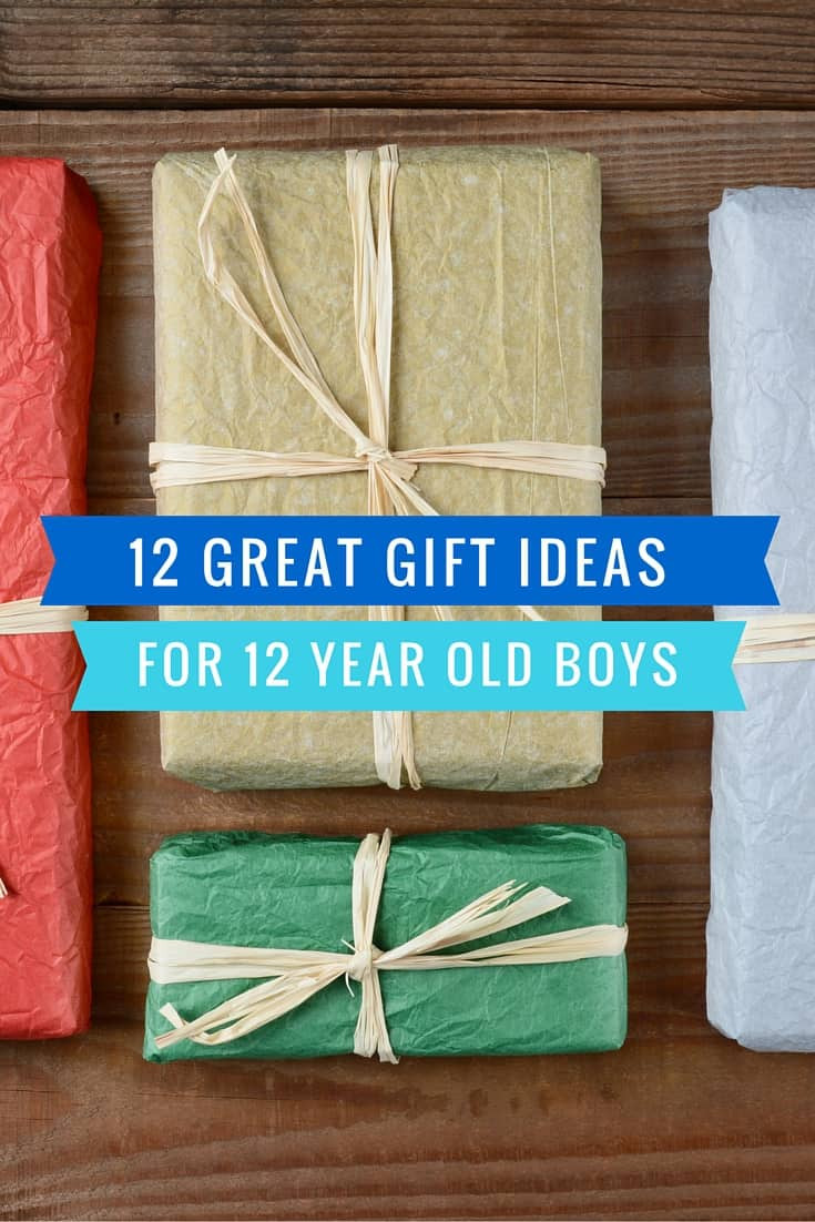 Gift Ideas For 12 Year Old Boys
 12 Great Gift Ideas for a 12 Year Old Boy Mom in the City