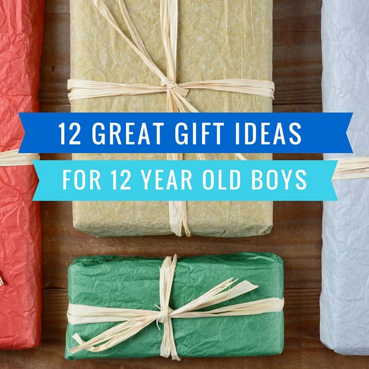 Gift Ideas For 12 Year Old Boys
 12 Great Gift Ideas for a 12 Year Old Boy Mom in the City