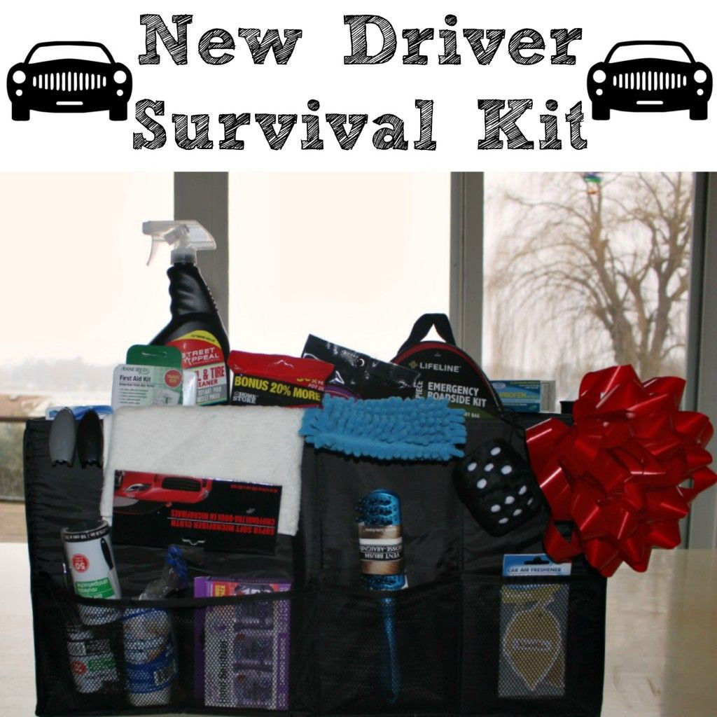 Gift Ideas For 16 Year Old Boys
 New Driver Survival Kit Princess Pinky Girl
