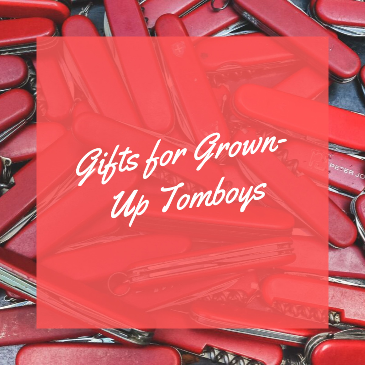 Gift Ideas For Tomboy Girlfriend
 Great Gifts for Grown Up Tomboys
