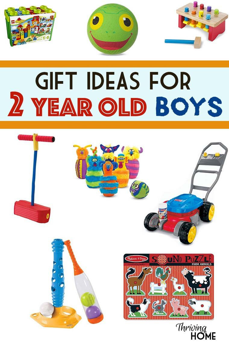 Gift Ideas For Two Year Old Boys
 Gift Ideas for a Two Year Old Boy Thriving Home