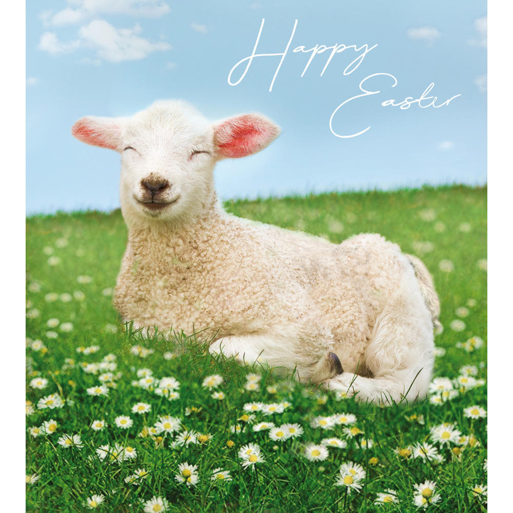 Lamb For Easter
 Pack of 5 Spring Lamb Happy Easter Greetings Cards