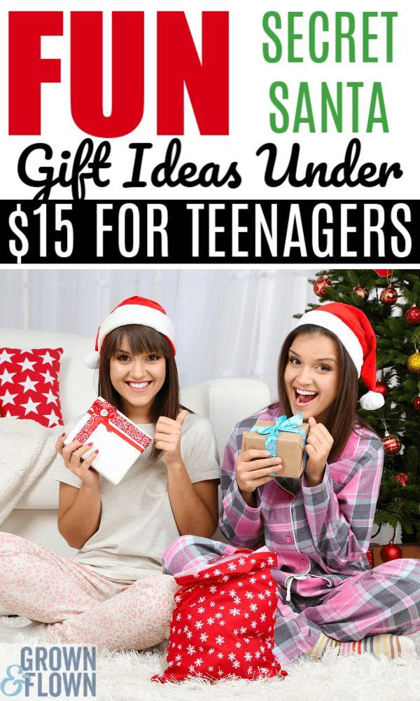 Secret Santa Gift Ideas For Girls
 Christmas 2020 Secret Santa Gifts Under $15 That Teens
