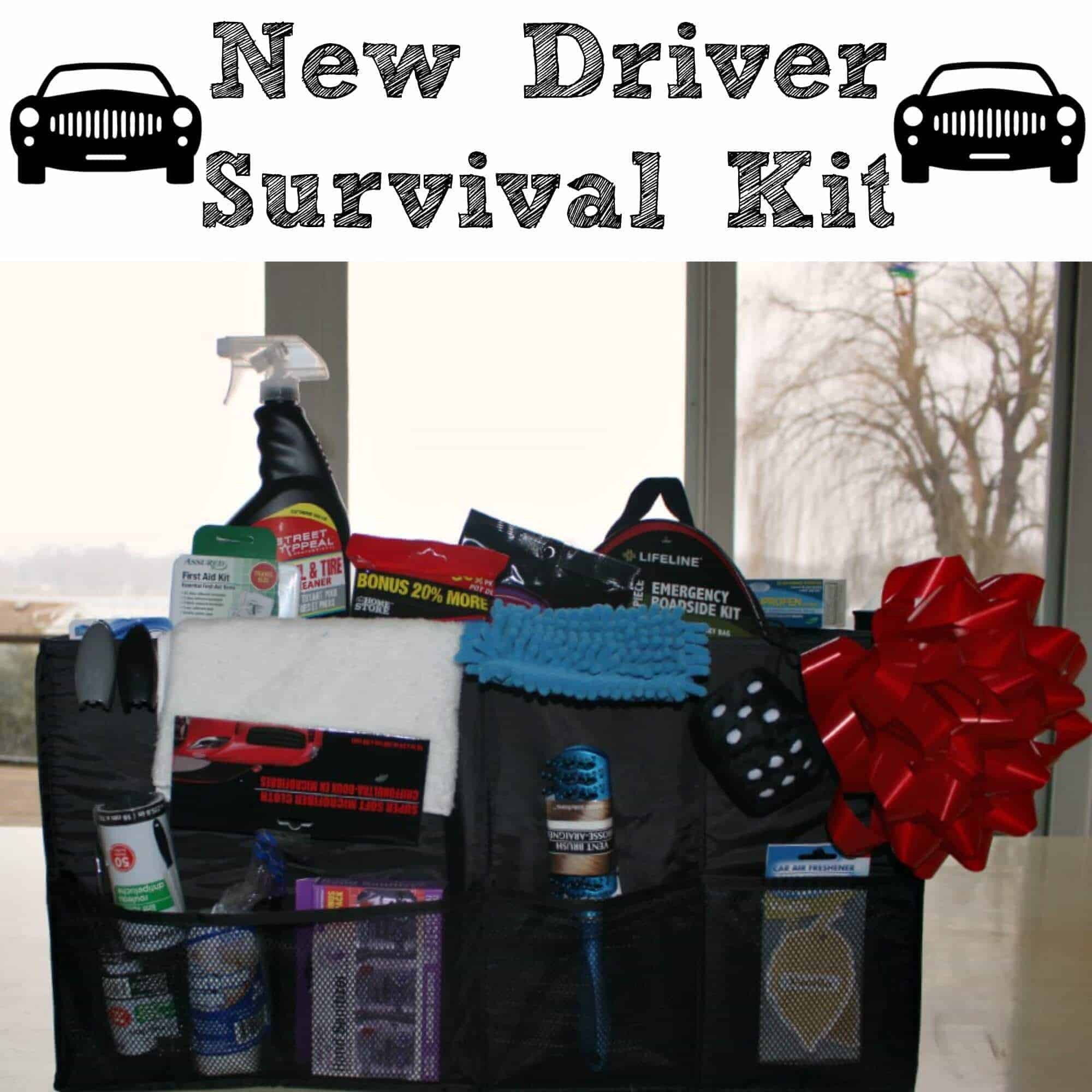Valentine Gift Ideas For 16 Year Old Boyfriend
 New Driver Survival Kit Princess Pinky Girl
