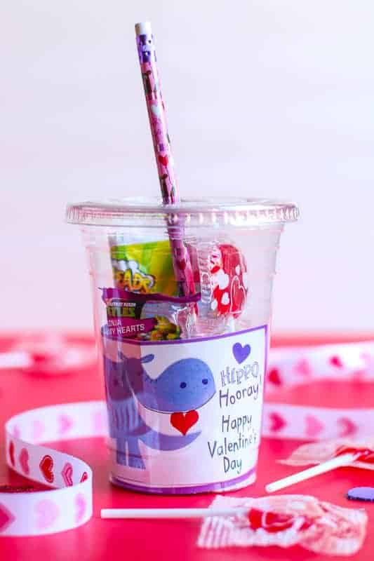 Valentine Gift Ideas For Classmates
 DIY Valentine s Day Gift for Classmates