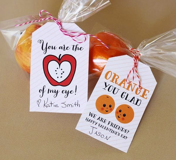 Valentine Gift Ideas For Classmates
 20 Adorable Homemade Valentines for Classmates The