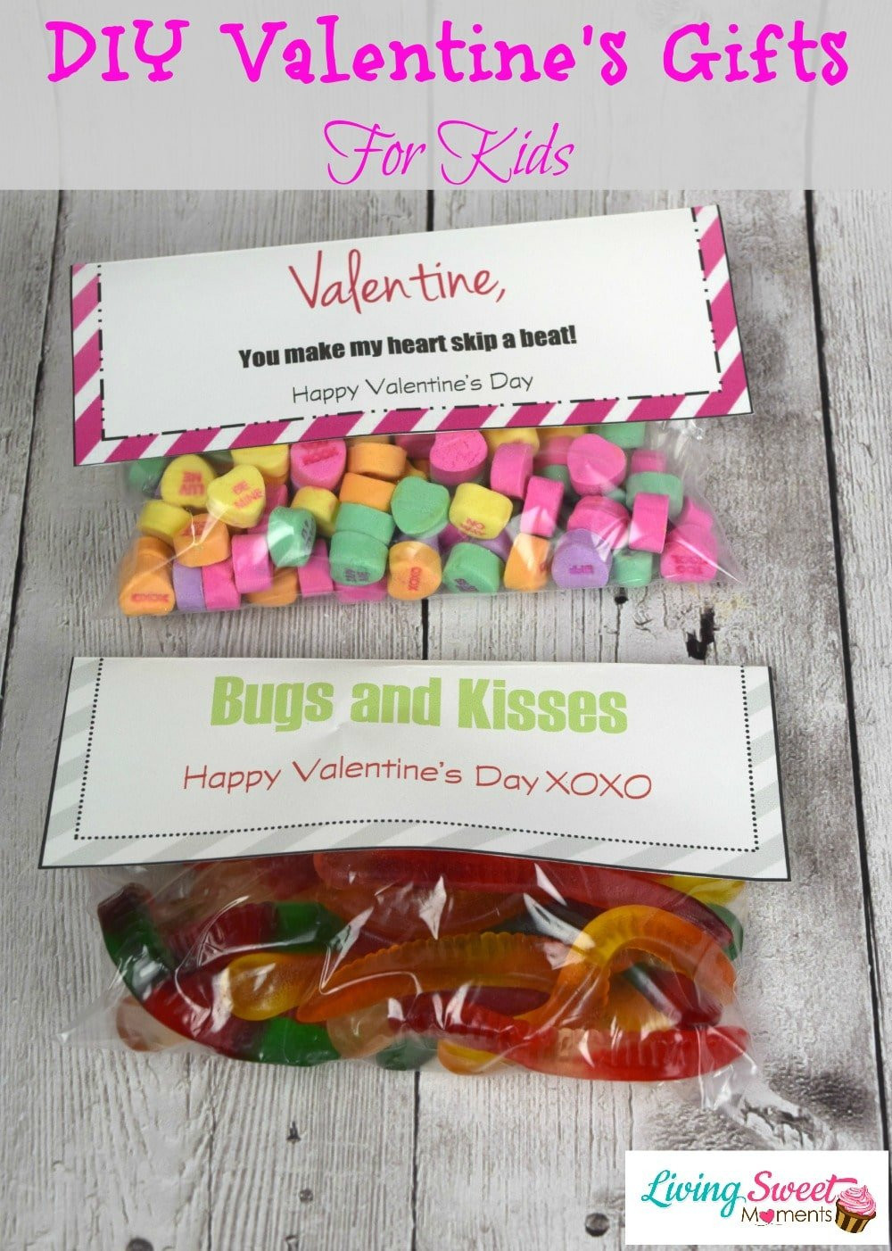 Valentines Day Gift Ideas Diy
 DIY Valentine s Gift For Kids