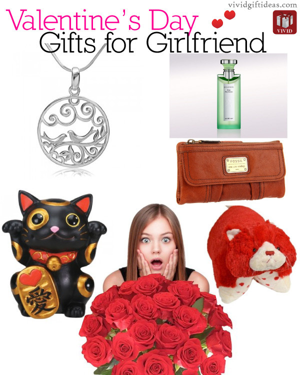 Valentines Day Girlfriend Gift Ideas
 Romantic Valentines Gifts for Girlfriend 2014 Vivid s